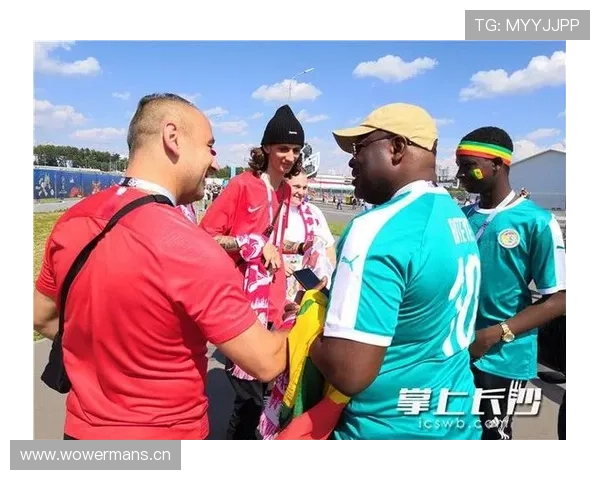 塞内加尔后防线稳定性评估 塞内加尔后防线稳定性评估